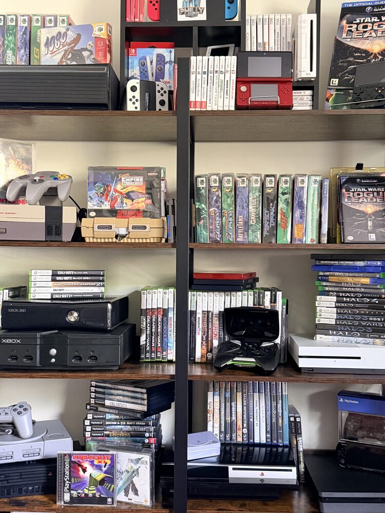 A large game collection neatly organized by console across several shelves
